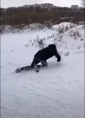 Украинский лесной